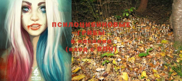 крисы Беломорск
